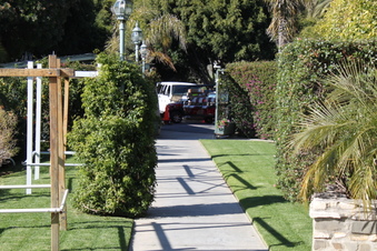 Enlarge photo 60