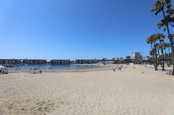 Enlarge photo 40