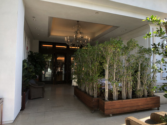 Enlarge photo 20
