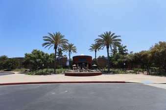 Enlarge photo 87