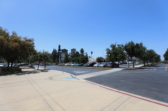 Enlarge photo 81