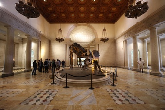 Enlarge photo 10