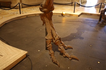 Enlarge photo 8