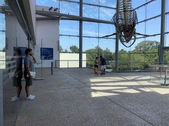 Enlarge photo 37