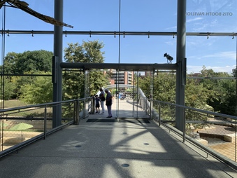 Enlarge photo 36