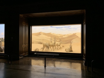 Enlarge photo 43