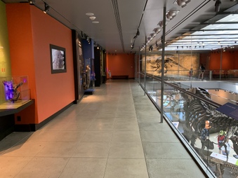 Enlarge photo 125