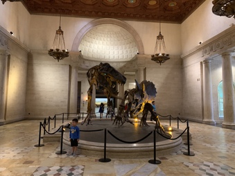 Enlarge photo 10