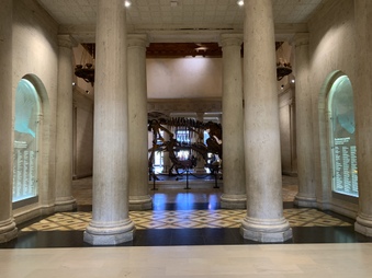 Enlarge photo 21