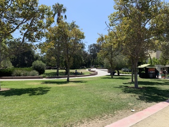 Enlarge photo 3