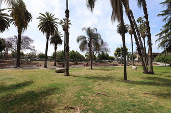 Enlarge photo 30