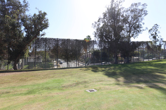 Enlarge photo 49