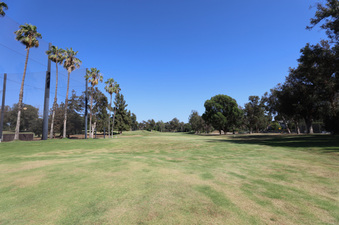Enlarge photo 46