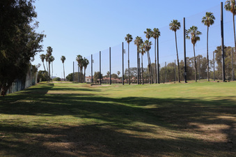 Enlarge photo 45