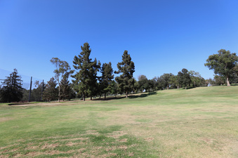 Enlarge photo 43