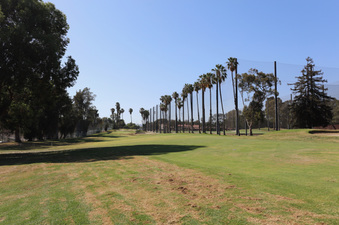 Enlarge photo 41