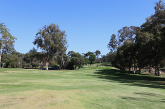 Enlarge photo 42