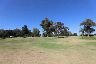 Enlarge photo 39