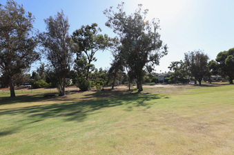 Enlarge photo 37