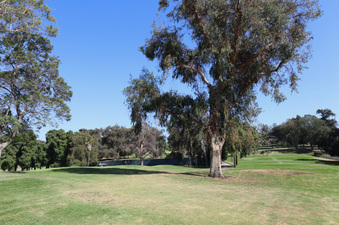 Enlarge photo 36