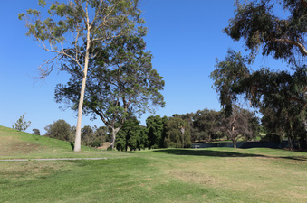 Enlarge photo 35