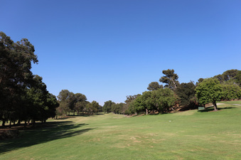 Enlarge photo 20
