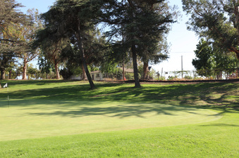 Enlarge photo 26