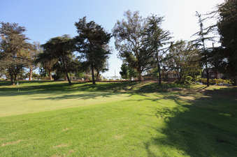 Enlarge photo 28