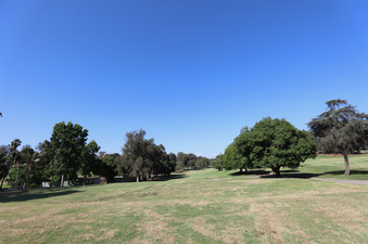 Enlarge photo 30