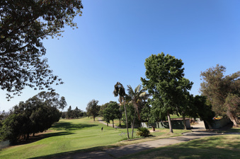 Enlarge photo 31