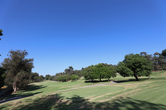 Enlarge photo 32