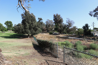 Enlarge photo 57