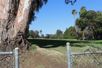 Enlarge photo 59