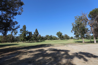 Enlarge photo 63