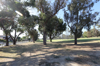 Enlarge photo 65