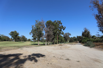 Enlarge photo 66