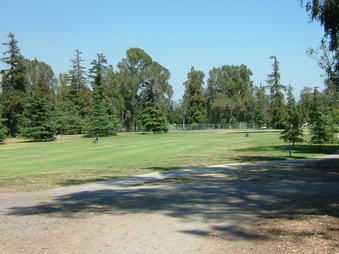 Enlarge photo 31