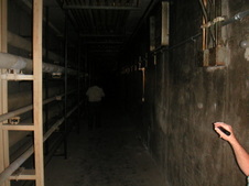 Enlarge photo 32