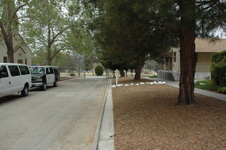Enlarge photo 47