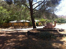 Enlarge photo 12