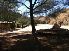 Enlarge photo 14