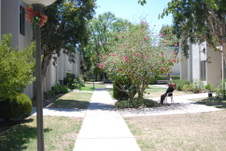Enlarge photo 19