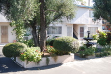 Enlarge photo 7