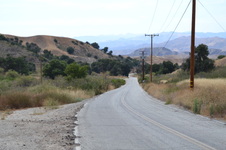 Enlarge photo 42