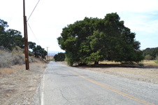 Enlarge photo 44