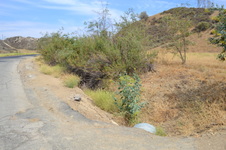 Enlarge photo 55