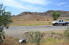 Enlarge photo 57