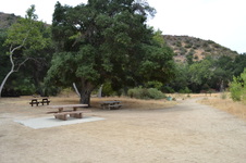 Enlarge photo 16