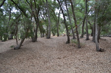 Enlarge photo 17