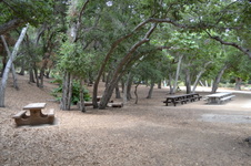 Enlarge photo 19